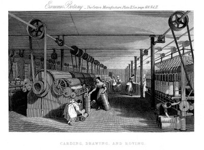 Kardning, teckning och strövande bomull, c1830 av Unbekannt