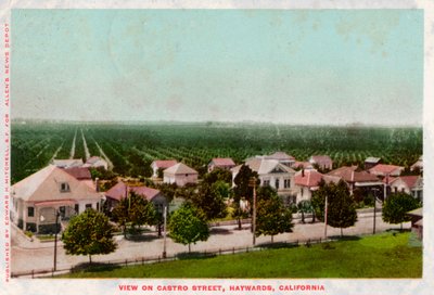 Castro Street, Hayward, Kalifornien, 1905 av Unbekannt