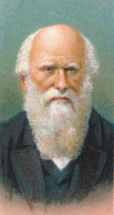 Charles Darwin 1809-1882, brittisk naturforskare, 1924 av Unbekannt