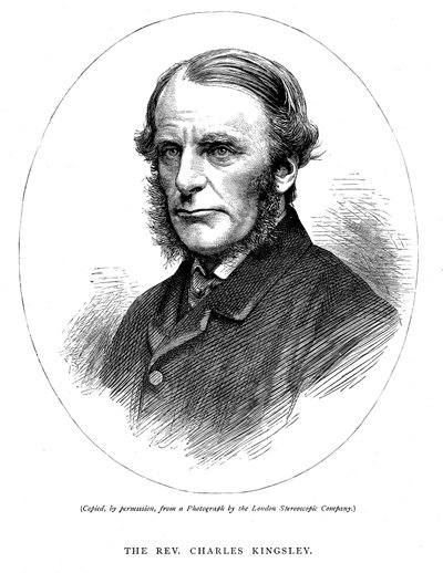 Charles Kingsley, brittisk författare och präst, c1880 av Unbekannt