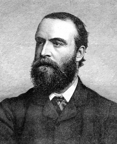 Charles Stuart Parnell, irländsk politiker från 1800-talet, c1874-1891 av Unbekannt
