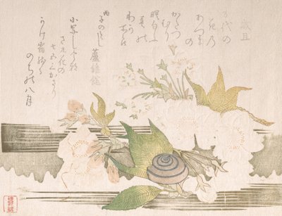 Körsbärsblommor och en snigel, 1816. av Unbekannt