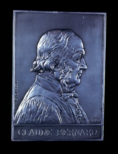Claude Bernard, fransk fysiolog från 1800-talet, 1913 av Unbekannt