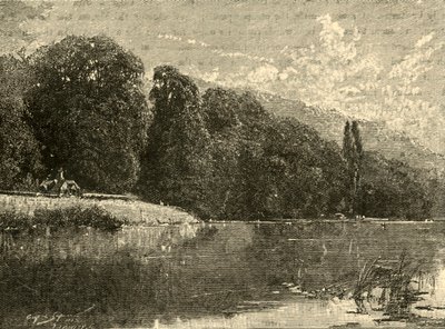 Cliefden Woods, 1898. av Unbekannt