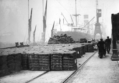 Kokosnötsproduktion, 1900-talet av Unbekannt