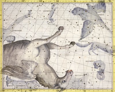Stjärnbilden Pegasus, 1729 av Unbekannt
