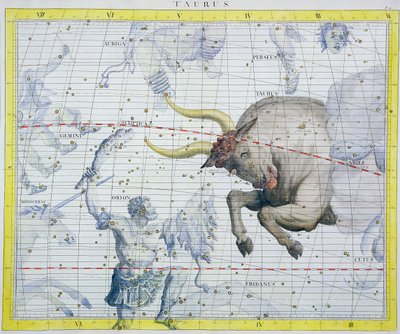 Oxens stjärnbild, 1729 av Unbekannt