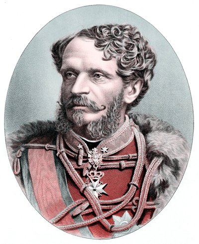 Greve Julius Andrassy 1823-1890, ungersk statsman, c1880 av Unbekannt