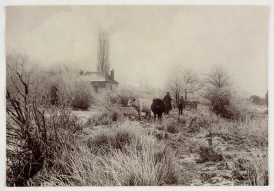 "Kor i en frostig åker", vers 1890 av Unbekannt