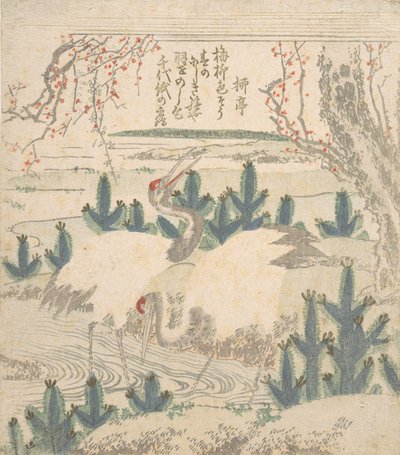Tranor bland unga tallar nära en bäck, ca. 1830. av Unbekannt