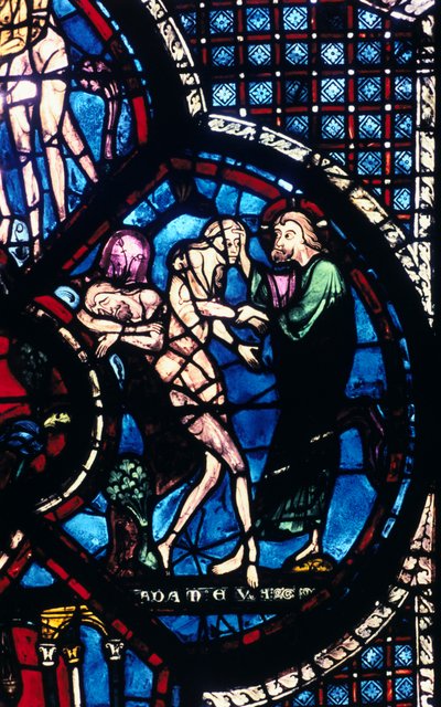 Evas skapelse, målat glas, Chartres katedral, Frankrike, 1205-1215 av Unbekannt