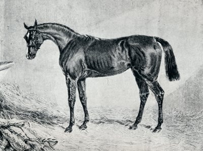 Cyprianus, 1800-talet, 1911 av Unbekannt