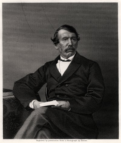 David Livingstone, skotsk missionär och afrikansk upptäcktsresande, 1800-talet av Unbekannt