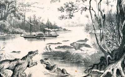 David Livingstone navigerar i Zambezi, Afrika, 1852-1864 c1878 av Unbekannt