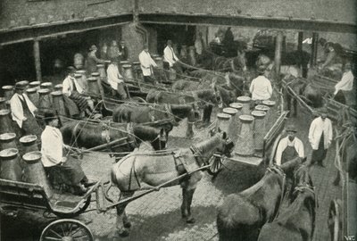 Leveransbilar med start från Mrs, Freeth och Pococks Central Depot i Vauxhall, 1902. av Unbekannt
