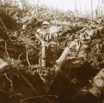 Förstört skydd, Les Éparges, norra Frankrike, 1915. av Unbekannt