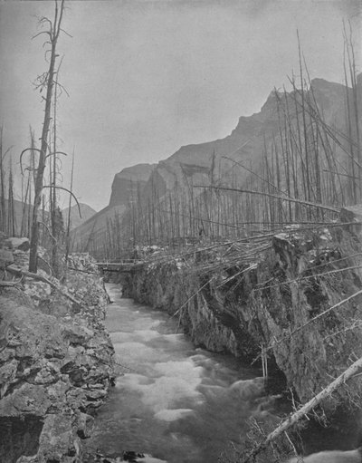 Devils Canyon, Banff, N. W. T., Kanada, c1897. av Unbekannt