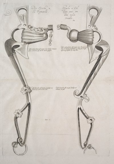 Diagram för hästbett, 1700-tal. av Unbekannt