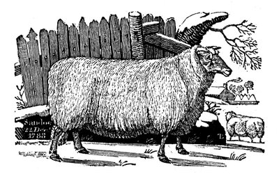 Dishley New Leicester sheep, 1811 av Unbekannt