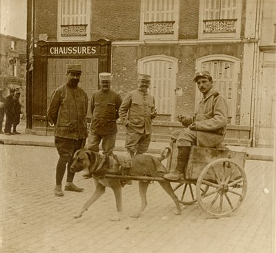 Hundkärra, Frankrike, c1914-c1918 av Unbekannt