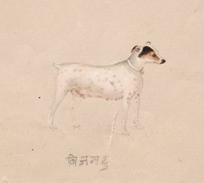 Hund, 1800-tal. av Unbekannt