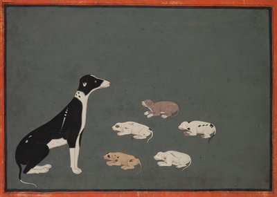 Hund med valpar, c. 1780. av Unbekannt