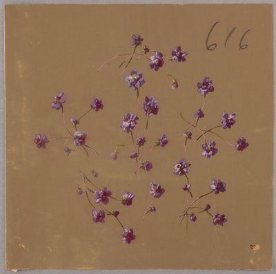 Drawing, from Saint Germain - Volumes 1 & 2 av Unbekannt