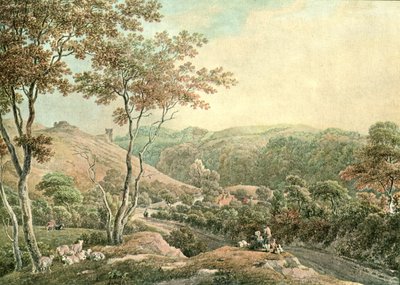 Drysllwyn Castle, Carmarthenshire, c1900. av Unbekannt