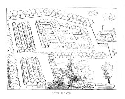 Duck Island, c1870 av Unbekannt