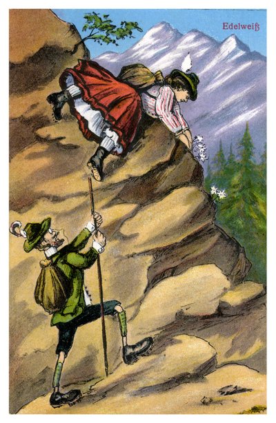 Edelweiss, sent 1800-tal eller tidigt 1900-tal av Unbekannt