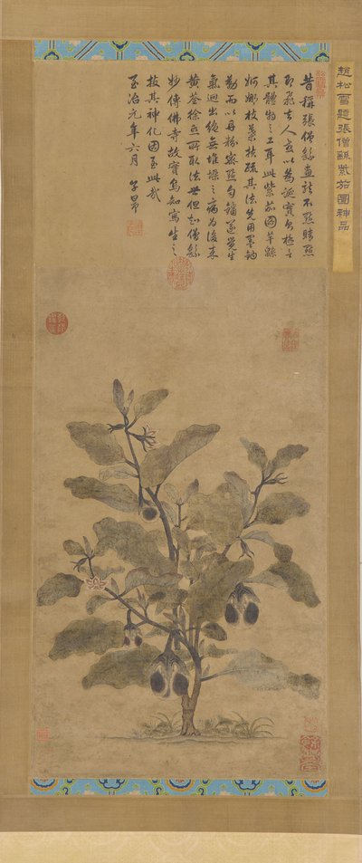 Aubergine, Mingdynastin, 1368-1644. av Unbekannt