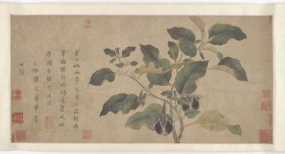 Aubergine, Yuan eller Ming dynastin, 1300-talet. av Unbekannt