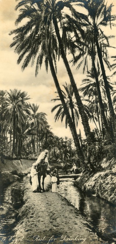 Egypten - Vila för att dricka, c1918-c1939. av Unbekannt