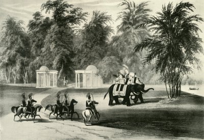 Elefanter och kroppsvakt i Barrackpore Park, 1820, 1925. av Unbekannt