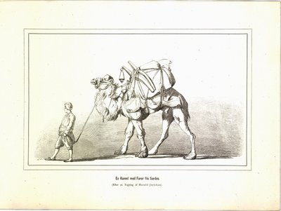 En kamel med en ledare från Sardis. Illustration hämtad från boken Variegated travel pictures av Jerichau-Baumann, Elisabeth och utgiven av Forlagsbureauet (Köpenhamn, 1881) av Unbekannt