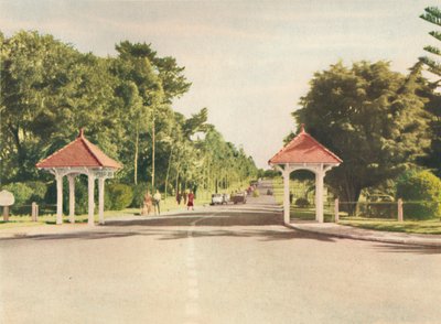 Ingången till Kings Park, c1947. av Unbekannt