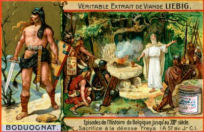 Avsnitt i Belgiens historia fram till 1200-talet: Boduognatus, c1900 av Unbekannt