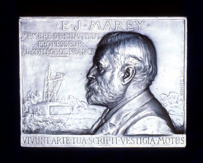 Etienne Jules Marey 1830-1903, fransk fysiolog, 1800-talet av Unbekannt