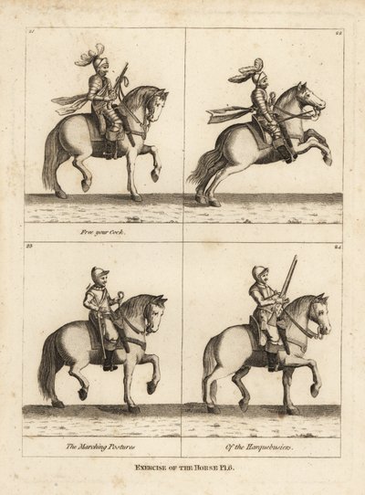 Träning av hästen av Unbekannt