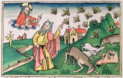 2 Mosebok 8:20-32: Mose och flugsvärmen, en av Egyptens sju plågor av Unbekannt
