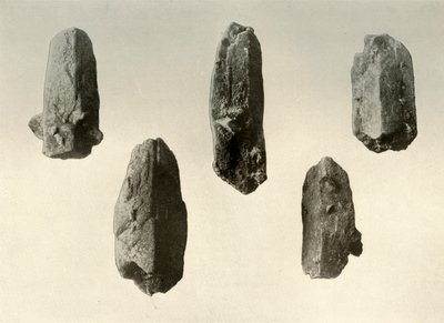 Fältspatkristaller från Summit of Mount Erebus Natural Size, 1909 av Unbekannt