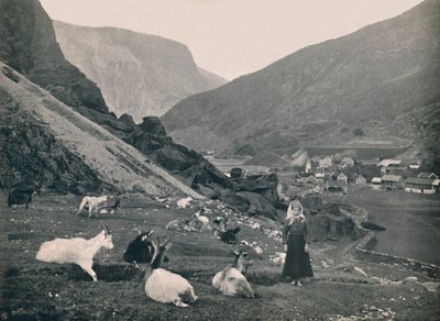 Flam, 1914. av Unbekannt