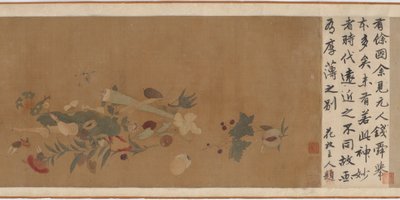 Blommor, frukt, snäckor och insekter, 1368-1644. av Unbekannt