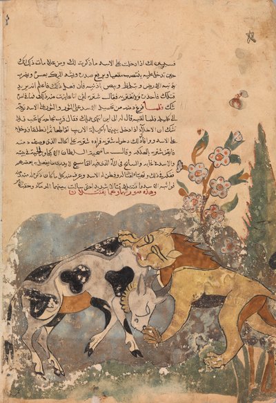 Folio från en Kalila wa Dimna, 1700-tal. av Unbekannt