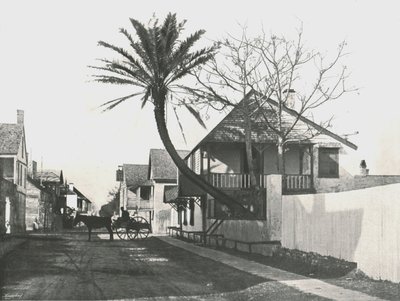 Francis Street, St Augustine, USA, 1895. av Unbekannt