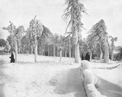 Frost Work i Prospect Park, Niagara, USA, c1900. av Unbekannt