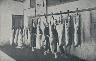Fryst kött, 1910 av Unbekannt