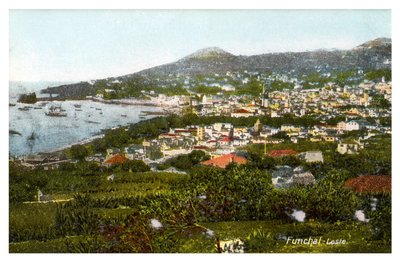 Funchal, Madeira, tidigt 1900-tal av Unbekannt