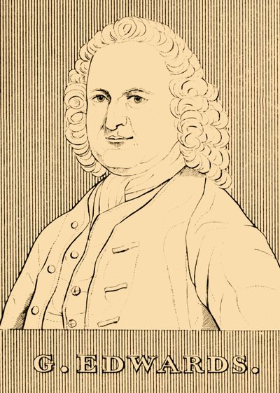 G. Edwards, 1694-1773, 1830. av Unbekannt