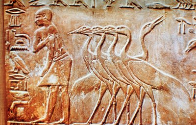 Gäss, väggrelief från Ptahhoteps grav, Saqqara, Egypten, 2300-talet f.Kr. av Unbekannt